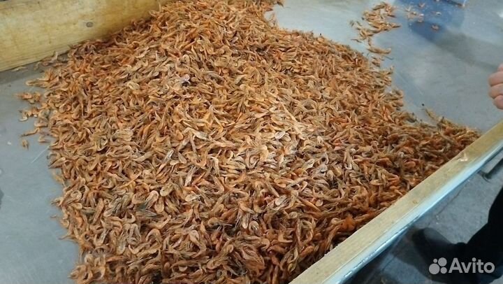 Креветка азовская с доставкой