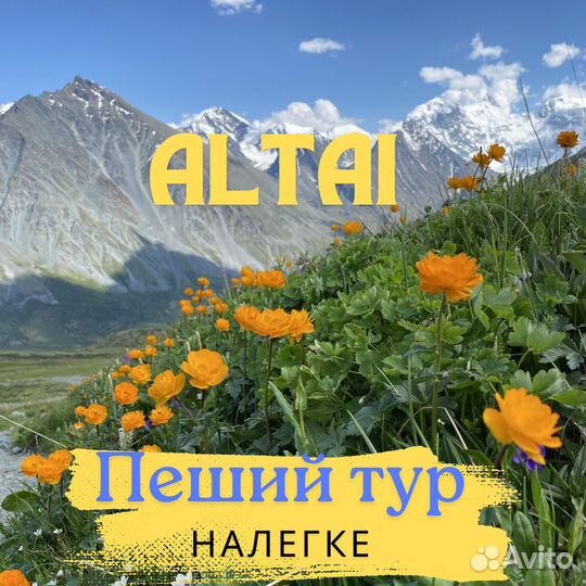Тур на Алтай. Пеший тур к горе Белуха