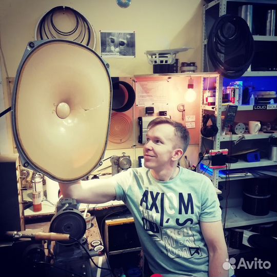 Ремонт динамиков, акустики Мурманск