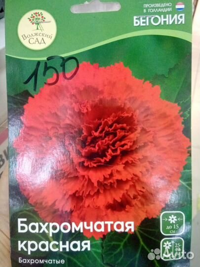 Бегония (клубни)