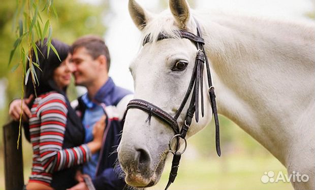 Отдых с детьми в Омской области