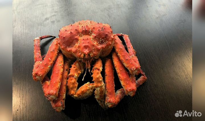 Краб Камчатский