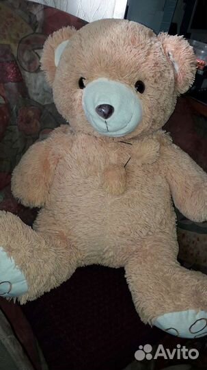 Медведь. Большой