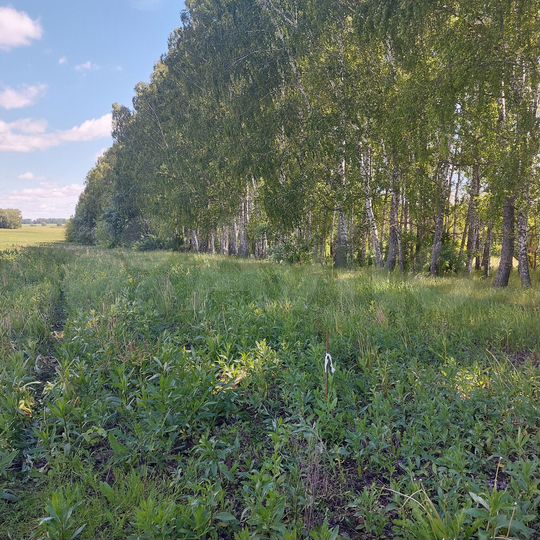 Участок 12,92 га (СНТ, ДНП)