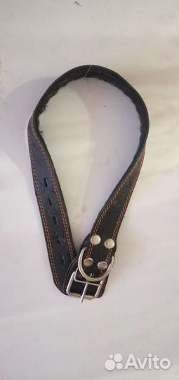 Ошейник для собак