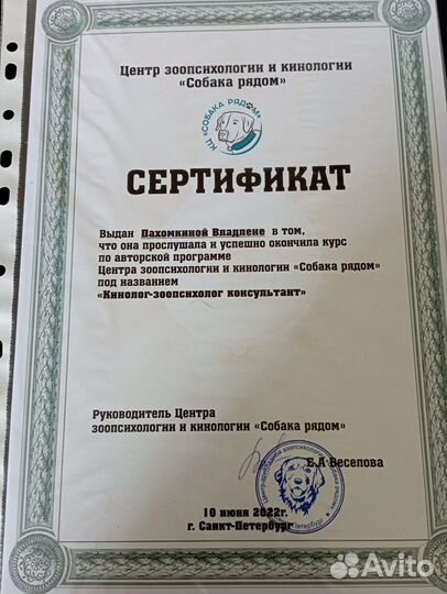 Кинолог-зоопсихолог