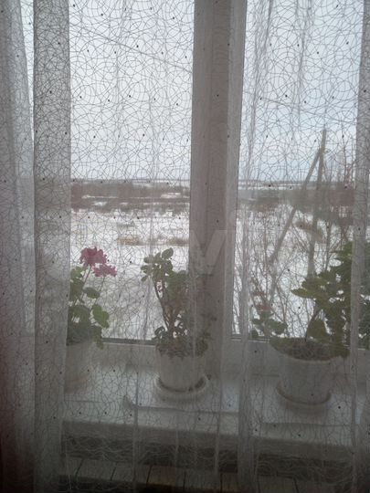 3-к. квартира, 61,6 м², 2/3 эт.