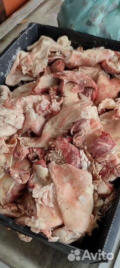 Мясо говядина для животных