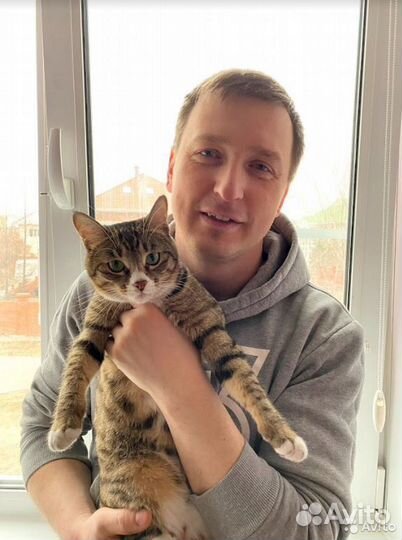 Ремонт окон