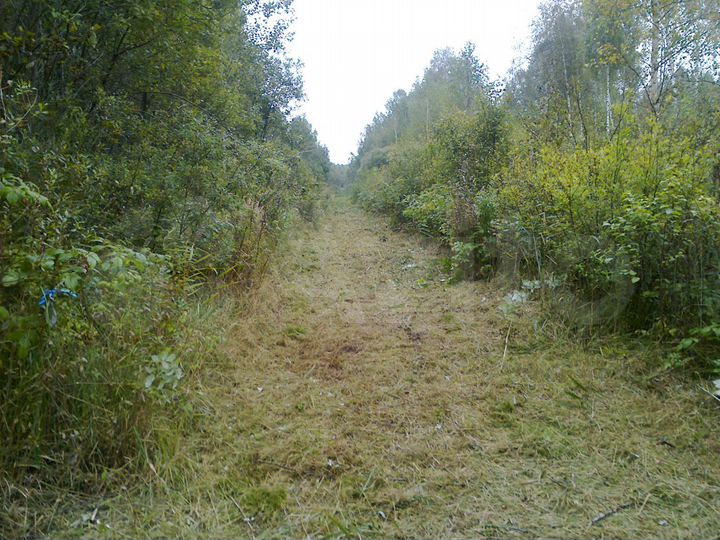 Участок 12 сот. (ИЖС)