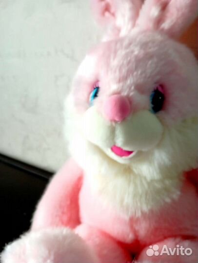 Заяц милашка