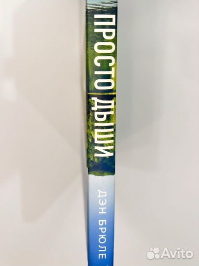 Книга Просто Дыши Дэн Брюле