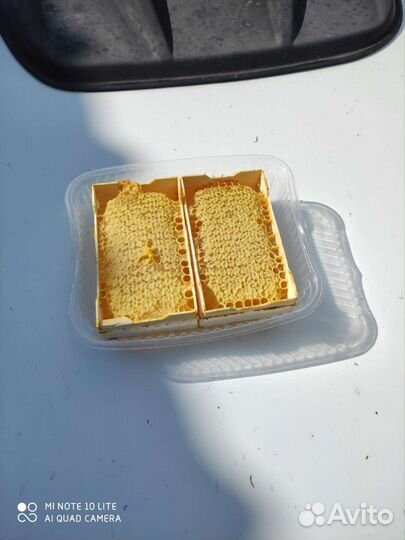 Пыльца свежая 2024 г., Мед гречишный 2023 года