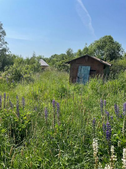 Участок 6 сот. (СНТ, ДНП)