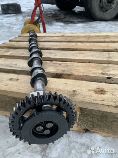 Распредвал MAN D2066