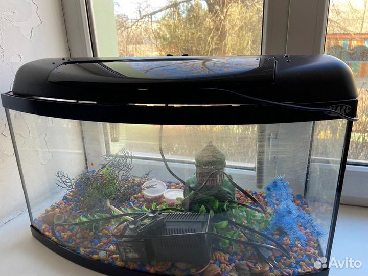 Аквариум