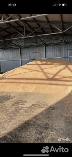 Перевалка зерна