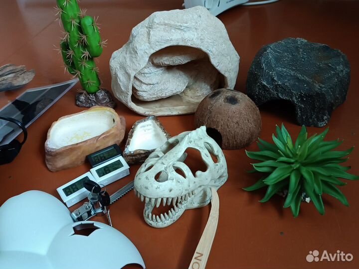 Продам наполнение для террариума