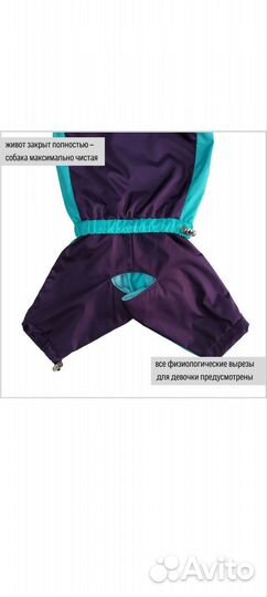 Одежда для маленьких собак