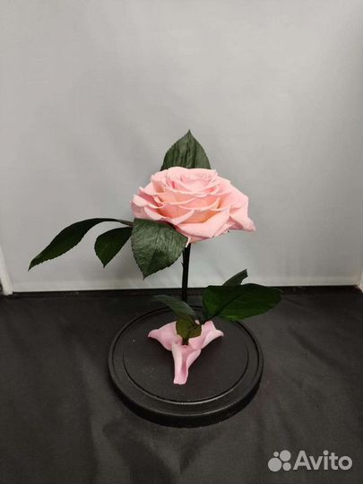 Роза в колбе оптом