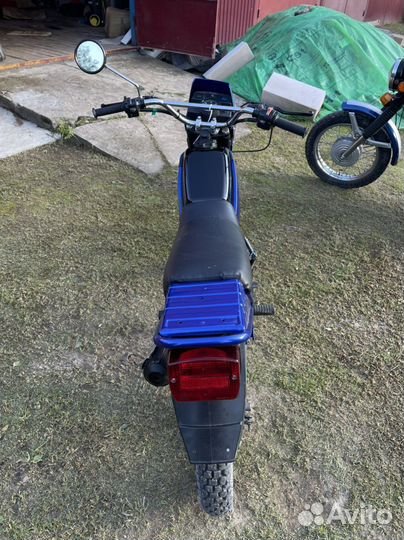 Зид 50 пилот