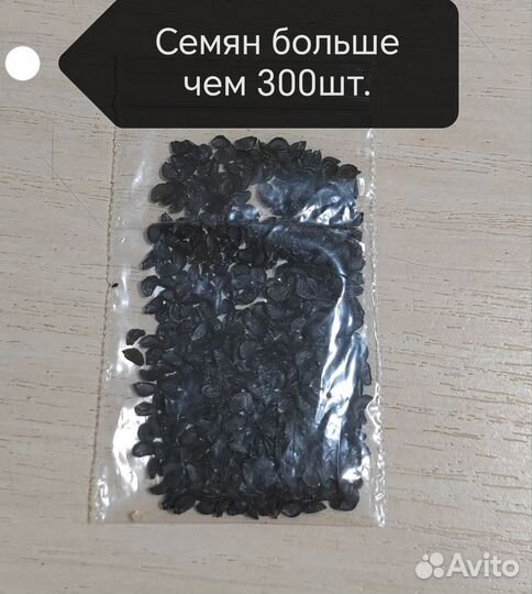 Семена зелёного чеснока(домашнего)многолетний