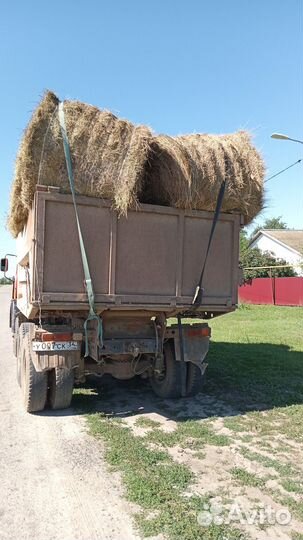 Суданка 2й укос 3000,солома пшеничная,ячменная