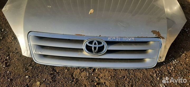 Капот на ипсум ACM 21