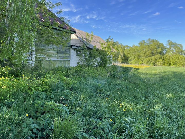 Дом 45 м² на участке 40 сот.