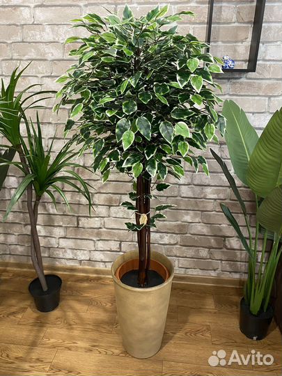 Искусственное дерево в кафе офис домой