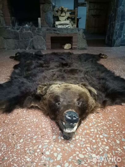 Шкура медведя (Имитация)