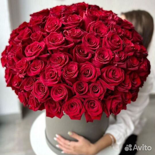 151 премиальные красные розы в коробке