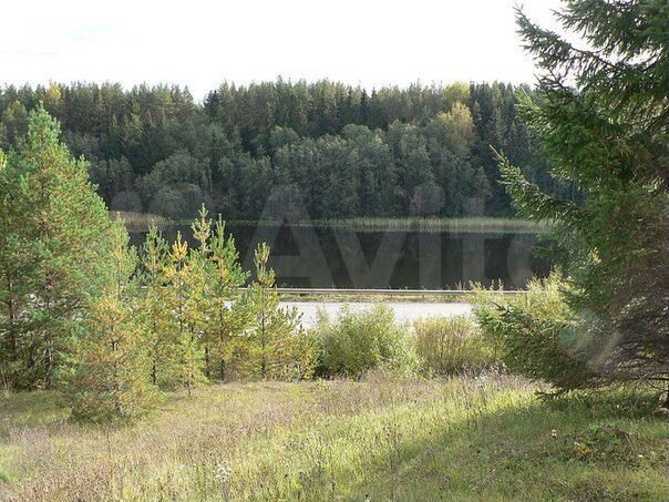 Участок 5,8 га (СНТ, ДНП)