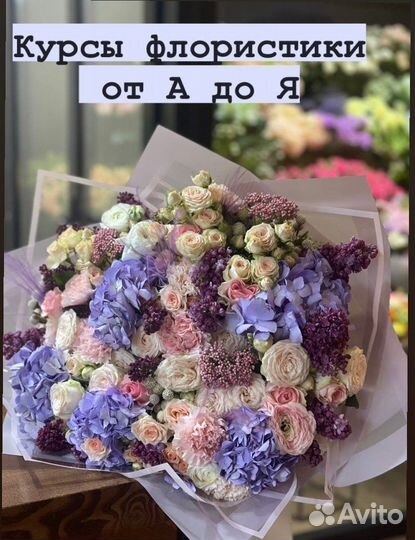Обучение курсы