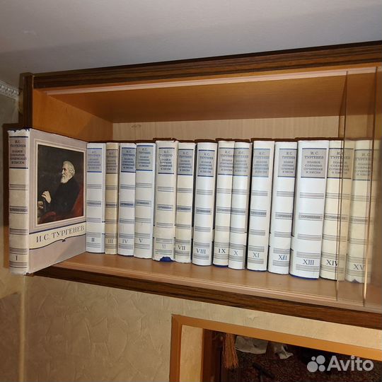 И.С.Тургенев