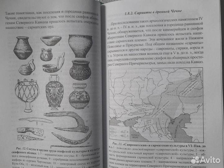 Книга Багаева