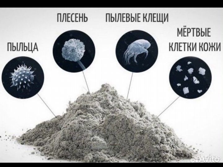 Ареда Моющего пылесоса и Пароочистителя karcher