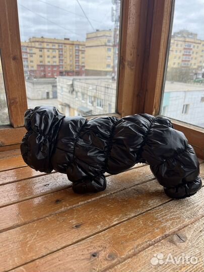 Комбинезон для собаки