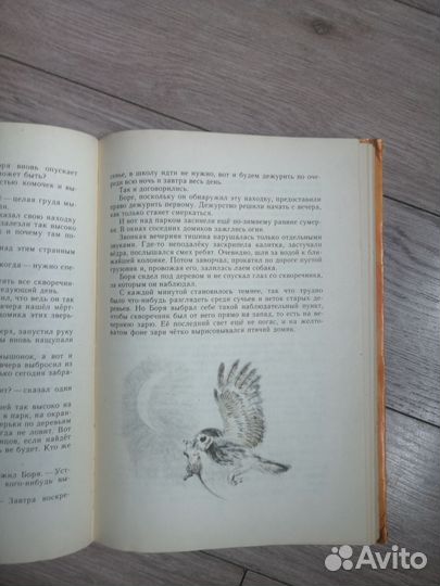 Г. Скребицкий. Весёлые ручьи