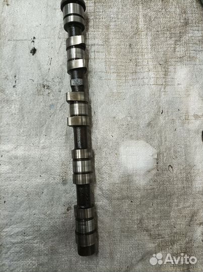 Распредвал змз 406