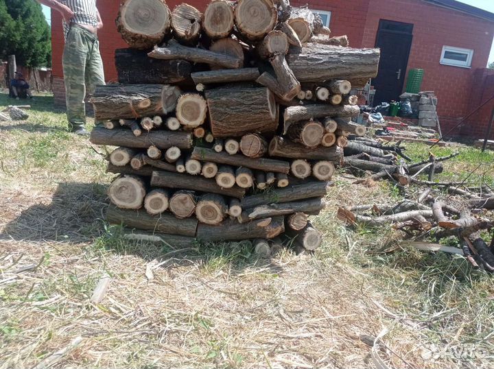 Дрова Акации, фруктовые деревья