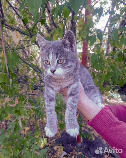 Спасите малыша