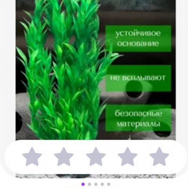 Аквариумные растения