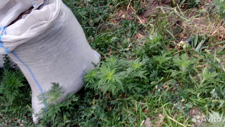 Перегной 2-3г,чернозем растительный,1/15т,мешками