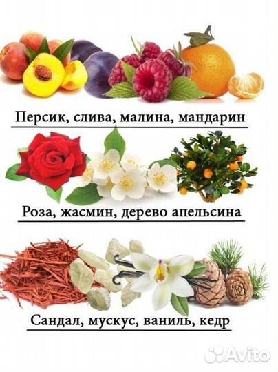 Туалетная вода Guy Alari