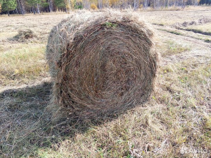 Сено в рулонах возможна доставка