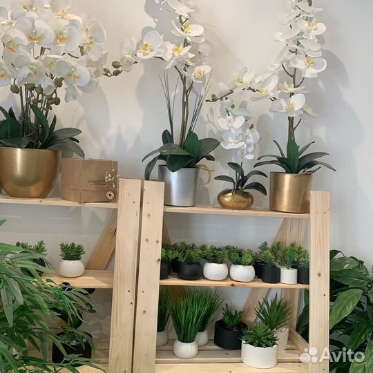 Искусственные растения (дерево) декоративные