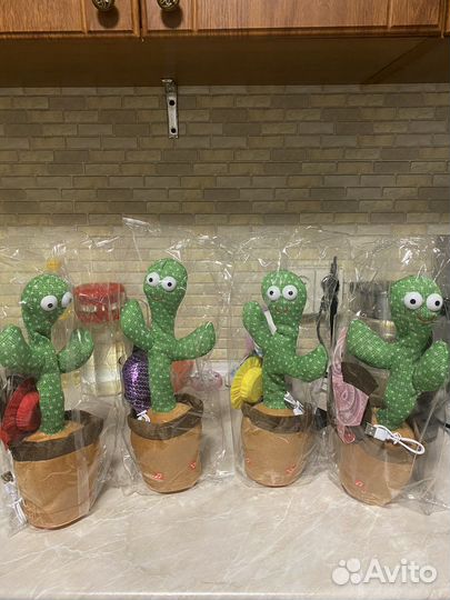 Кактус музыкальный повторяет со шляпой