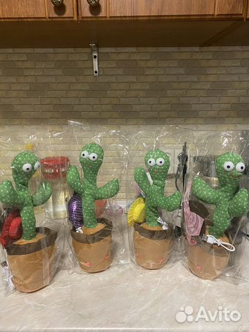 Кактус музыкальный повторяет со шляпой