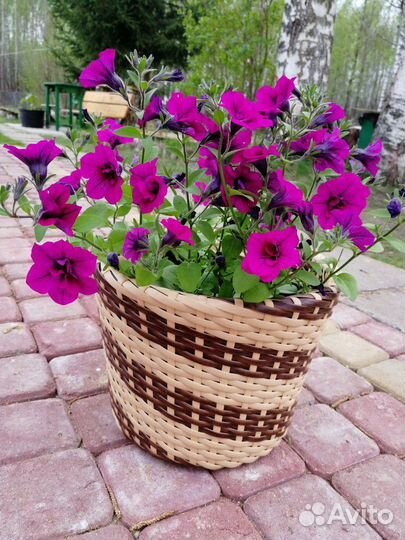 Кашпо 12л (без котейки)